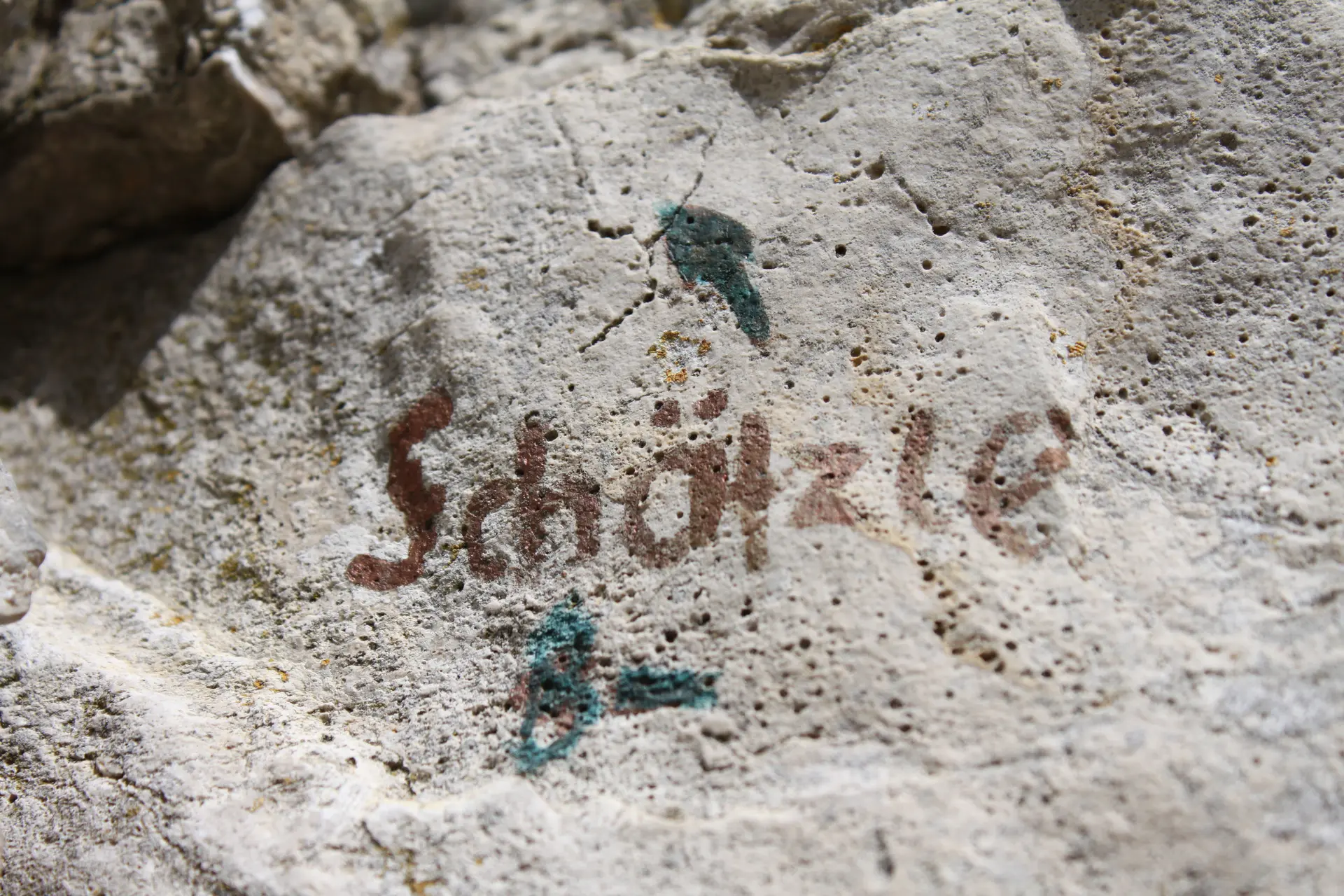 Bitte beachten: Wegen des BFSG benötigen alle Bilder einen aussagekräftigen Alt-Tag | © DAV