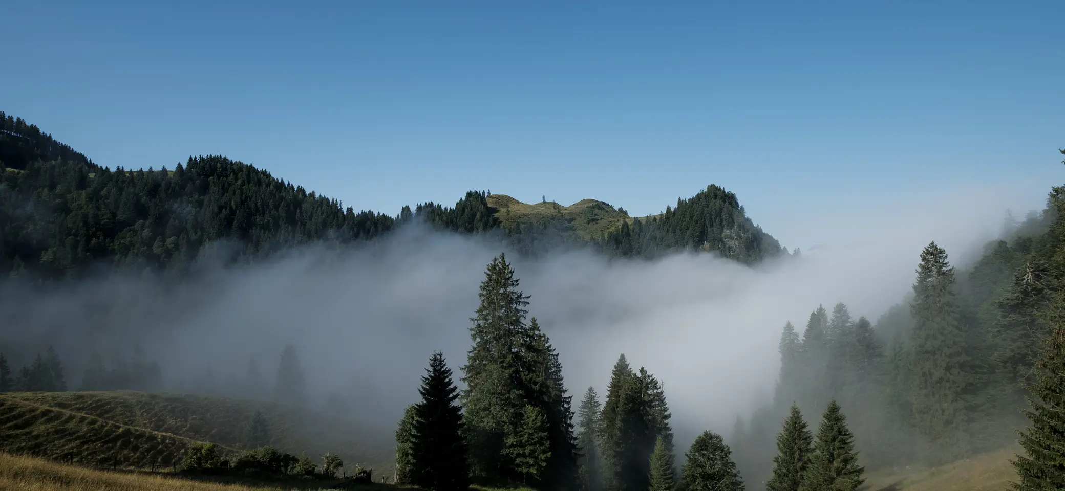 Bitte beachten: Wegen des BFSG benötigen alle Bilder einen aussagekräftigen Alt-Tag | © DAV