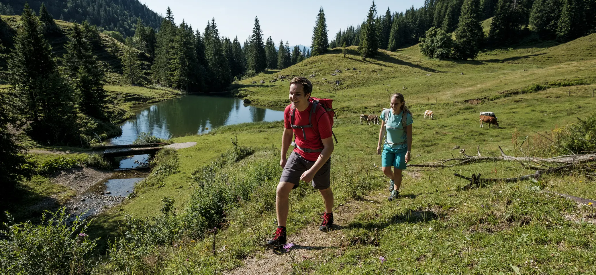 Bitte beachten: Wegen des BFSG benötigen alle Bilder einen aussagekräftigen Alt-Tag | © DAV