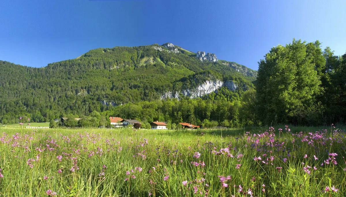 Bitte beachten: Wegen des BFSG benötigen alle Bilder einen aussagekräftigen Alt-Tag | © DAV / Vodermeier