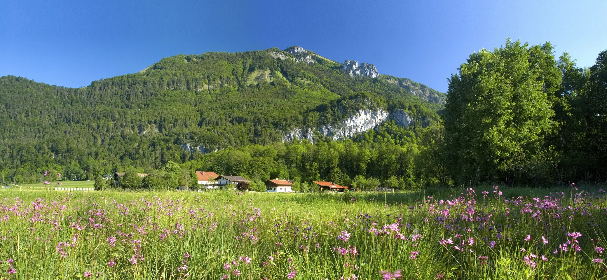 Bitte beachten: Wegen des BFSG benötigen alle Bilder einen aussagekräftigen Alt-Tag | © DAV / Vodermeier