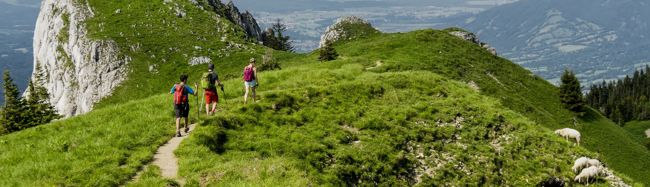 Bitte beachten: Wegen des BFSG benötigen alle Bilder einen aussagekräftigen Alt-Tag | © DAV