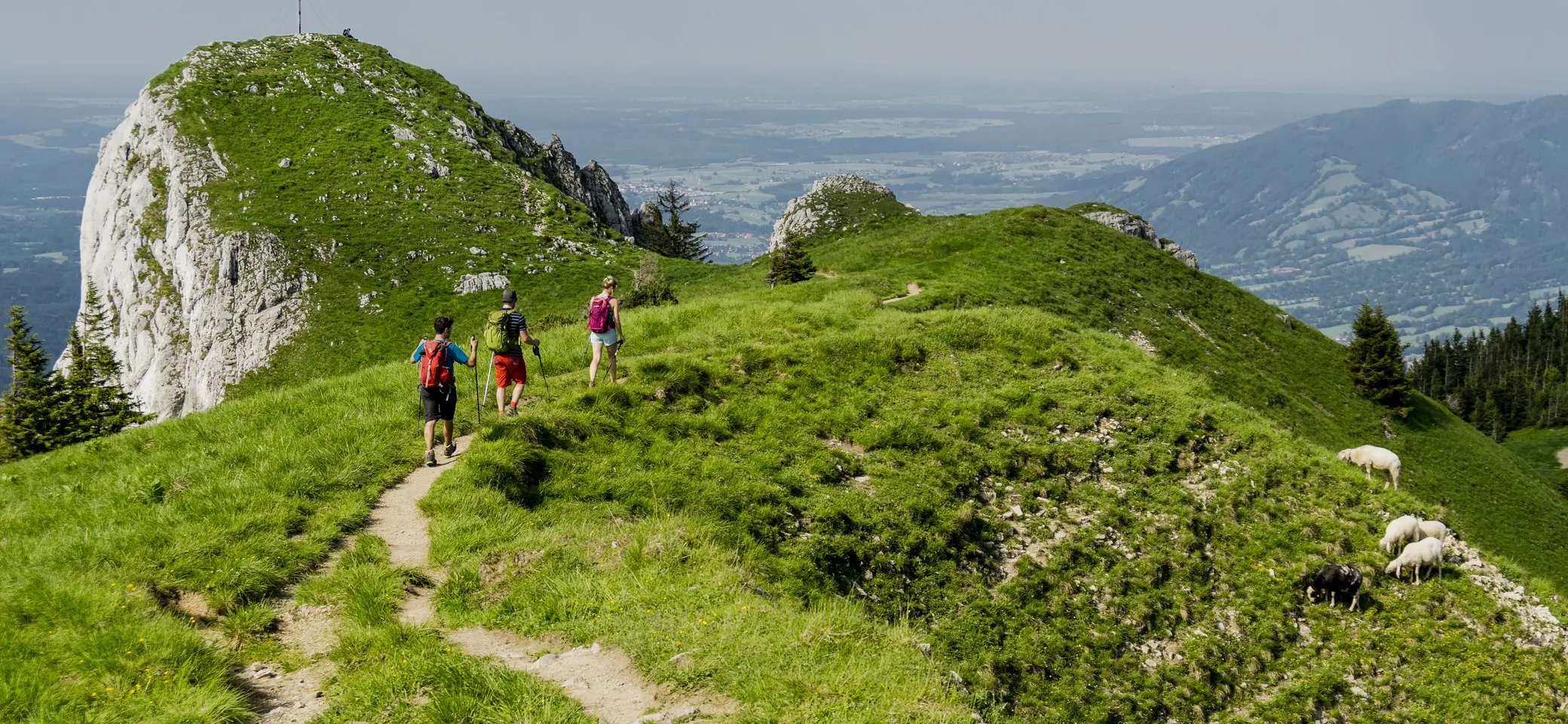 Bitte beachten: Wegen des BFSG benötigen alle Bilder einen aussagekräftigen Alt-Tag | © DAV