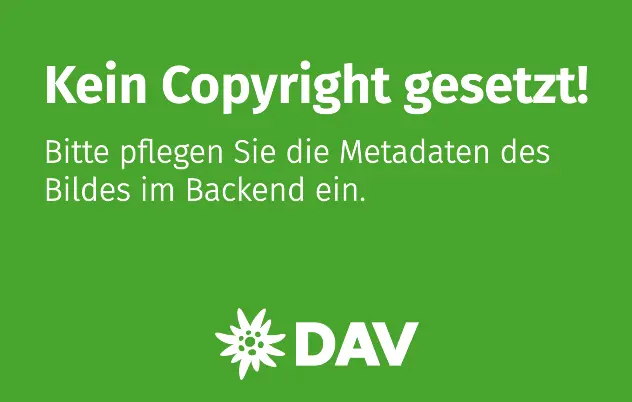 topografische Linien - grau