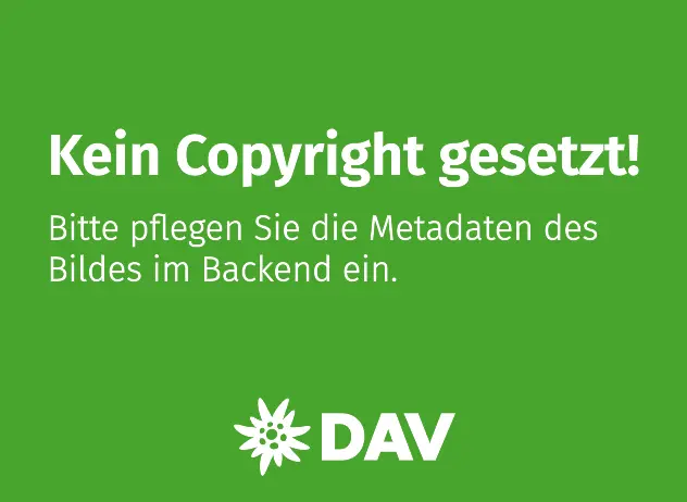 topografische Linien - grau