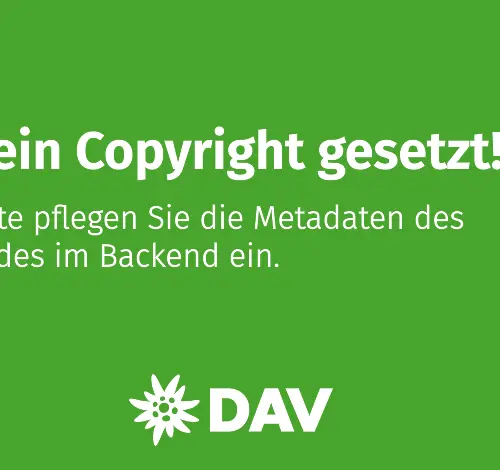 topografische Linien - grau